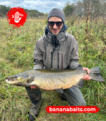 Wobbler „Banan” 70F - Cl 12 - obrazek 2