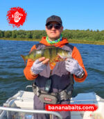 Wobbler „Banan” 70F - Cl 3 - obrazek 2