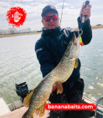 Wobbler "Banana" 70F - Cl 21 - Image 2
