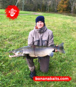Wobbler „Banan” 70F - Cl 5 - obrazek 2