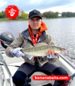 Wobbler "Banan" 70F - Cl 6 - Bild 2